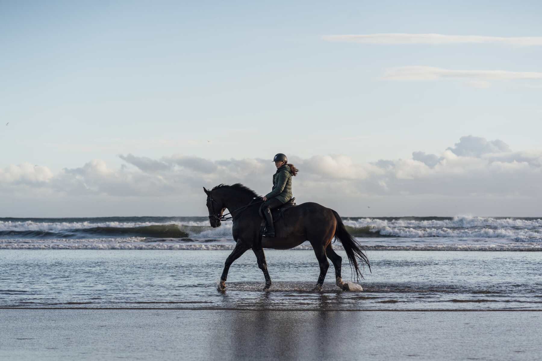 happy horse on beach with rider