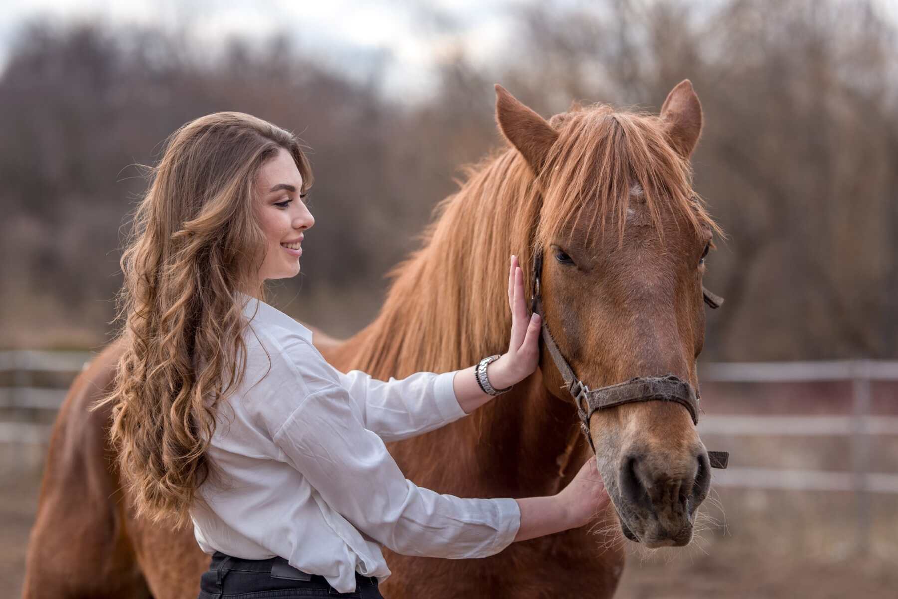 woman with horse in horse menage